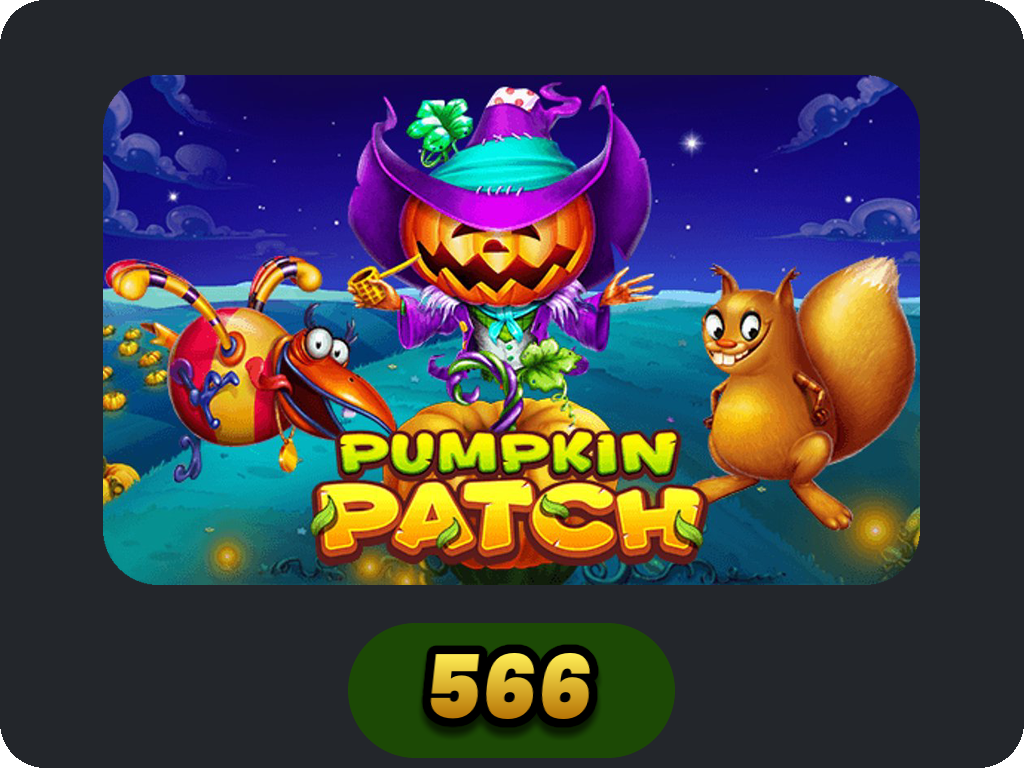 Pumpkin Patch